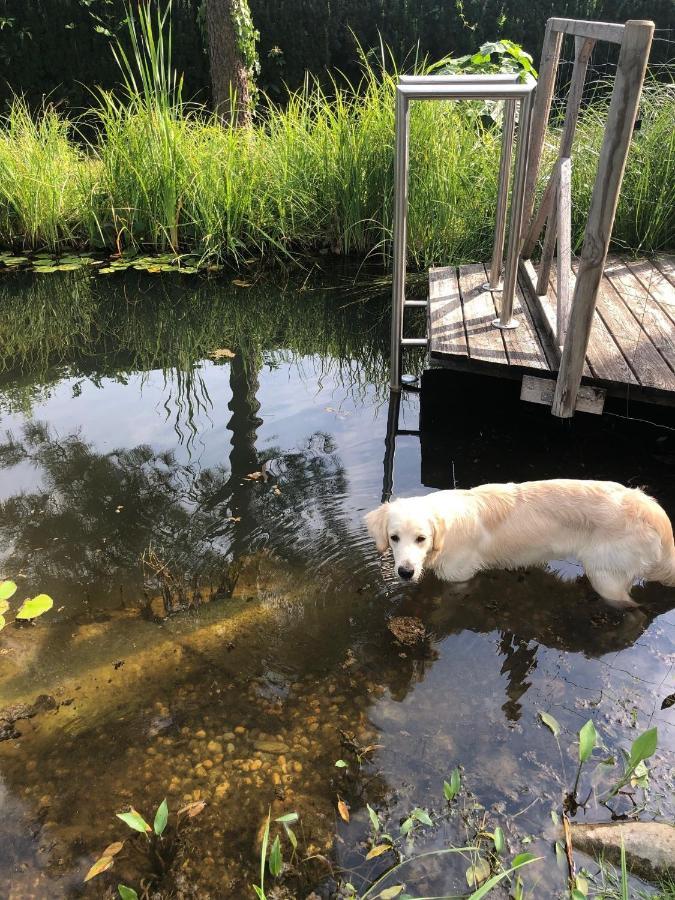 Millies Hosting - Familienurlaub Mit Hund In Kaernten Sankt Paul im Lavanttal Экстерьер фото