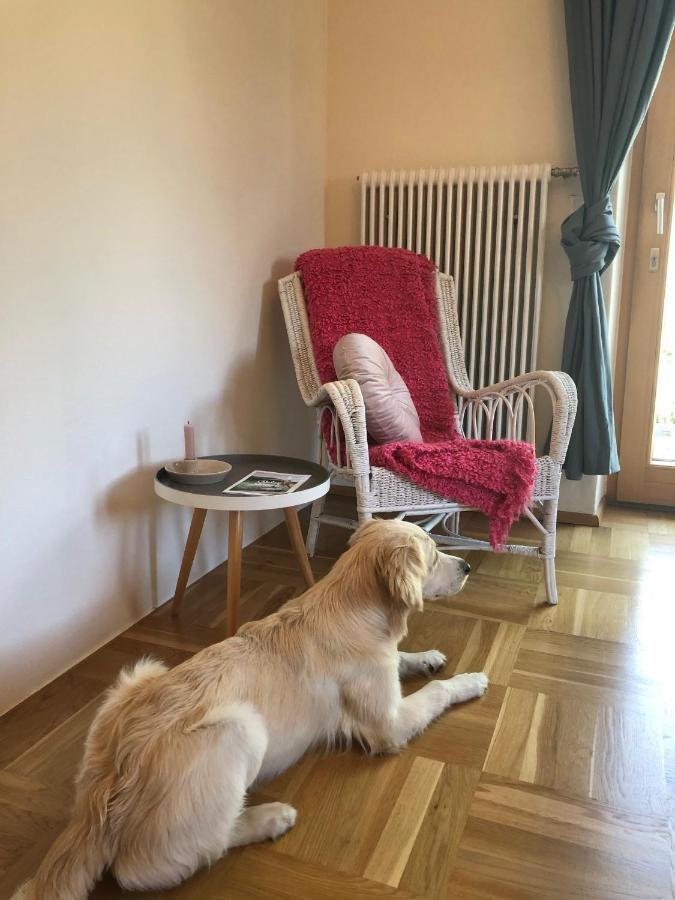 Millies Hosting - Familienurlaub Mit Hund In Kaernten Sankt Paul im Lavanttal Экстерьер фото