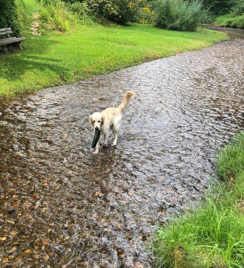 Millies Hosting - Familienurlaub Mit Hund In Kaernten Sankt Paul im Lavanttal Экстерьер фото